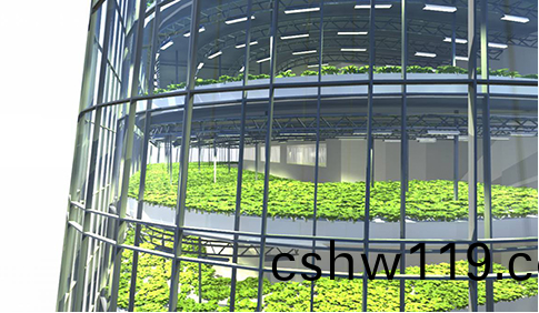 百度截圖20180118111900